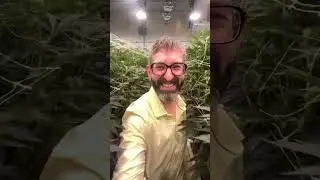 Farm Tour! I had the pleasure of visiting Kootenay Cultivar!