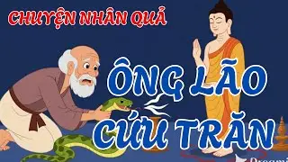 Ông Lão Cứu Trăn Đen Bị Bẫy, 30 Năm Sau Nhận Báo Ơn Khiến Ai Cũng Bất Ngờ