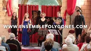 [Teaser] Ensemble Polygones