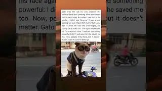 Unwanted Cat, Unbreakable Bond