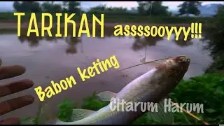 MANCING KETING DI SUNGAI CITARUM SORE-SORE, BABON-BABON GENTAYANGAN.