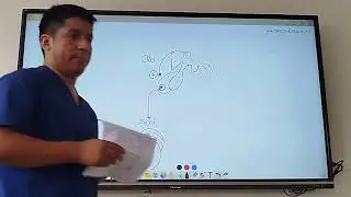 Seminario de CCBB: Cap&iacute;tulo de Endocrino (4/10)