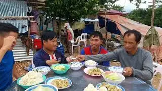muaj kab mob lawm kib qe xyaws qhiav rau peb noj xwb