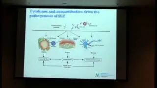 Insights into the Genetic Susceptibility of SLE & New Therapeutic Targets by Karen Cerosaletti, PhD