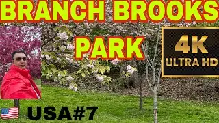 WALKING TOUR 🚶&zwj;♂️4K |  BRANCH BROOKS PARK NEWARK NJ | MY USA TRAVELS VLOG 🇺🇸|CHERRY BLOSSOM 🌸