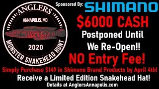 Monster Snakehead Hunt: More Details on the Postponement.