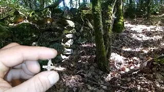 La légende du tombeau perdu - Je m'enfonce seul dans la forêt en quête de vérités [EP 4]