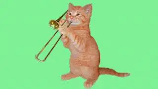 32218 390916595 tiny