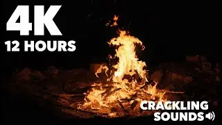 Night Forest Campfire 🪵 12 Hours of Real Crackling Sounds (4K)