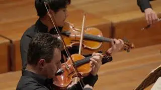 Mozart: Eine kleine Nachtmusik / Movement 2 / Philharmonie der Solisten / LIVE