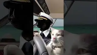 Swift Cat - Perfect Drift! 🛥️ Coast Guard Boat&rsquo;s Epic Parking Skill 😸