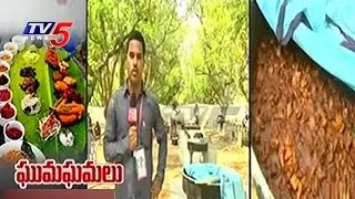 50 Varieties Of Food Menu At TRS 15th Plenary Meeting | Khammam | TV5 News