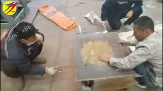 Testing tofu cat litter recipe for clients丨Разработка наполнителя для кошачьего туалета из тофу