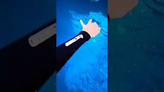 The bluest water in New Mexico 👀