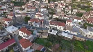 ΧΡΥΣΣΟ ΦΩΚΙΔΑΣ