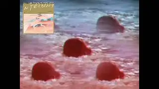 NTEIBINT - Back To The Roots Of Love (Saib Remix)