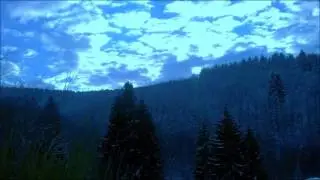 JAZZVA - WAY (OUT)