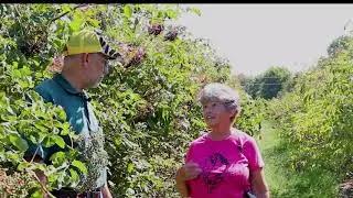 Elderberry Culture I Patrick Byers