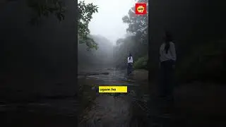 Day 03 Bhimashankar #shorts #shiv #mahadev