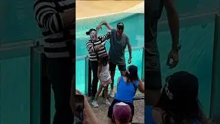 Not what he expected 🤣💀 Tom mime Seaworld #seaworldmime #funny #tomthemime #shorts