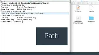 Shell P4 Current Working Directory || 