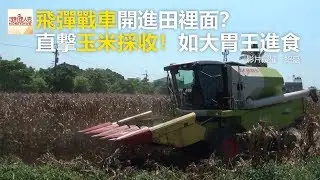 飛彈戰車開進田裡面？ 直擊玉米採收！如大胃王進食《發燒網話題》2018.06.13
