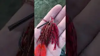 Minus Tide - Good time to throw the Swimjig from shore