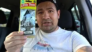 Black Ice Air Freshener LITTLE TREES: The Best Car Air Freshener