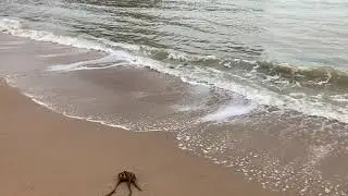 5-minute walk on Broadstairs beach - Dec 2022