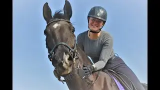 Is de training wel zwaar genoeg voor mijn paard? Trainingsschema maken met behulp van de IPOS app