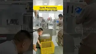 Garlic Processing Machine, Garlic Separating Machine and Garlic Peeling Machine #garlicpeeling