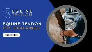 Equine Tendon UTC Explained