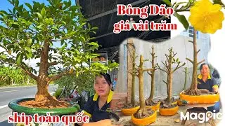 Phương Diệu Zalo 👉 0941313369 Gl lô phôi bông dão giá vài trăm v thành phẩm ghép SBBL.