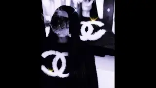 redda + swapa + supertrap type beat 
