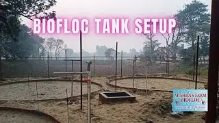 How to start Biofloc fish Farming. Biofloc tank setup,बायोफ्लोक टैंक सेटअप #Biofloc #biofloc traning