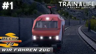 Train Life #1 | We drive the train - Tutorial