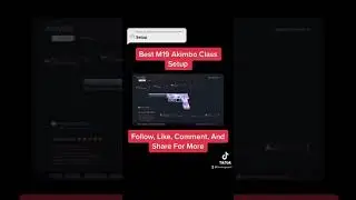 Best M19 Akimbo Class Setup