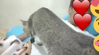Subhanallah !!!  Jerry Kucing Pinter,tau balas budi !!  😍😍😍
