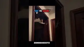 Cat vs lizard..🦎🙀💀#cat #trollfaceedit #catvslizard #shorts
