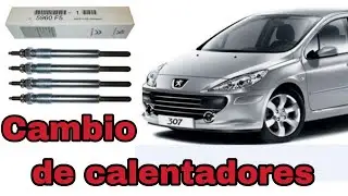 Cambio de calentadores Peugeot 307 HDI