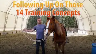 Follow Up To Video #90 On The 14 Training Concepts #91