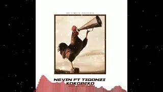 Nevin ft TiGonzi - Kokoriko(official audio)