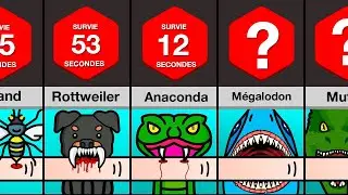 Comparaison : Combien de temps tiendrez-vous si vous vous faites mordre par ___ ?