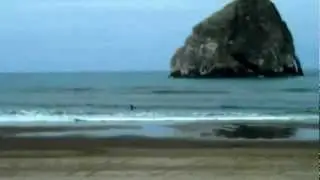 Dory Days Pacific City Oregon Coast