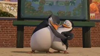 Skipper & Private Moments