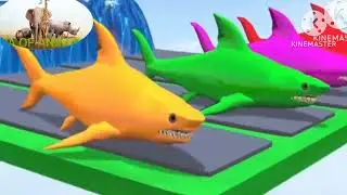 crossing fountain animals/animal crossing fountain transformation/crossing door chellange