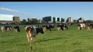 eempleinpolder