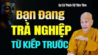 Cuộc Sống Hiện Tại Đều Do Nghiệp Kiếp Trước, Nghe Để Thôi Oán Trách Đời, Sống Tốt Hơn | SC. Tâm Tâm