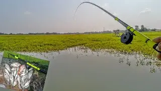 Test tegek yehang super 300. Langsung panen!!