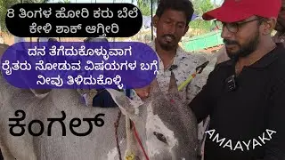 ಕೆಂಗಲ್ ದೇವಾಲಯದ ಬಗ್ಗೆ & ದನಗಳನ್ನು ಕೊಳ್ಳುವಾಗ ರೈತರು ನೋಡುವ ವಿಷಯಗಳ ಬಗ್ಗೆ ಮಾಹಿತಿ ತಿಳಿದುಕೊಳ್ಳಿ#agriculture